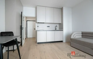 Apartment for rent, 1+KK - Studio, 25m<sup>2</sup>