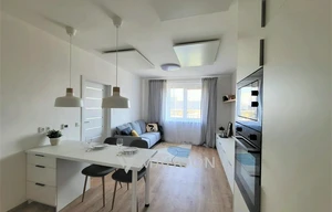 Apartment for rent, 1+KK - Studio, 47m<sup>2</sup>