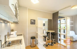 Apartment for rent, 1+KK - Studio, 33m<sup>2</sup>