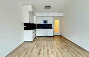 Apartment for rent, 1+KK - Studio, 35m<sup>2</sup>