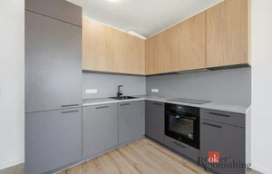 Apartment for rent, 2+kk - 1 bedroom, 55m<sup>2</sup>