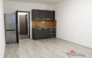 Apartment for rent, 1+KK - Studio, 30m<sup>2</sup>