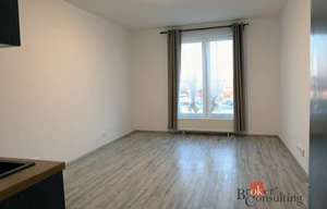 Apartment for rent, 1+KK - Studio, 30m<sup>2</sup>