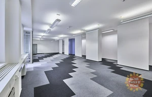 Office for rent, 246m<sup>2</sup>
