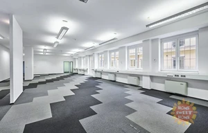 Office for rent, 246m<sup>2</sup>
