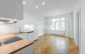 Apartment for rent, 2+kk - 1 bedroom, 44m<sup>2</sup>