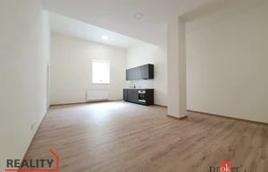 Apartment for rent, 1+KK - Studio, 47m<sup>2</sup>