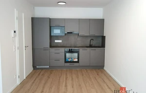 Apartment for rent, 2+kk - 1 bedroom, 46m<sup>2</sup>