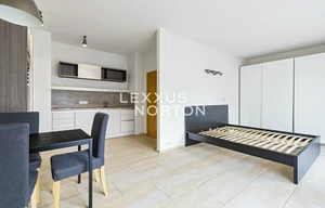 Apartment for rent, 1+KK - Studio, 37m<sup>2</sup>