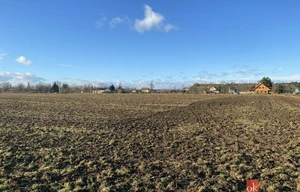 Field for sale, 122418m<sup>2</sup>