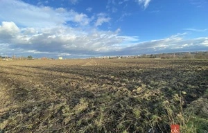 Field for sale, 122418m<sup>2</sup>