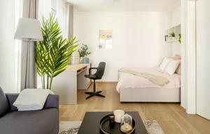 Apartment for rent, 1+KK - Studio, 39m<sup>2</sup>