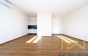 Apartment for rent, 1+KK - Studio, 48m<sup>2</sup>
