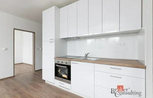 Apartment for rent, 2+kk - 1 bedroom, 55m<sup>2</sup>