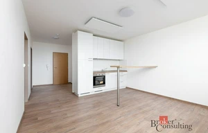 Apartment for rent, 2+kk - 1 bedroom, 55m<sup>2</sup>