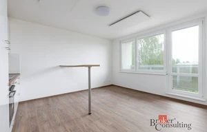 Apartment for rent, 2+kk - 1 bedroom, 55m<sup>2</sup>