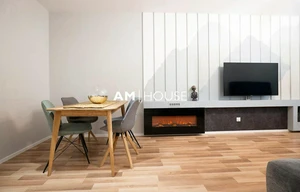 Apartment for rent, 1+KK - Studio, 51m<sup>2</sup>