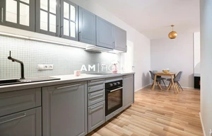 Apartment for rent, 1+KK - Studio, 51m<sup>2</sup>