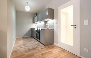 Apartment for rent, 1+KK - Studio, 51m<sup>2</sup>
