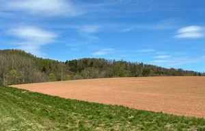 Field for sale, 42248m<sup>2</sup>