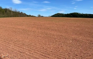 Field for sale, 42248m<sup>2</sup>