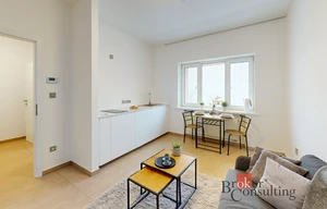 Apartment for rent, 1+KK - Studio, 24m<sup>2</sup>