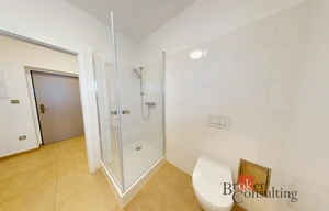 Apartment for rent, 1+KK - Studio, 24m<sup>2</sup>
