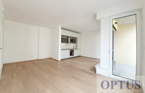 Apartment for rent, 2+kk - 1 bedroom, 48m<sup>2</sup>