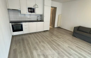 Apartment for rent, 1+KK - Studio, 33m<sup>2</sup>