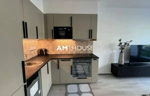 Apartment for rent, 1+KK - Studio, 35m<sup>2</sup>