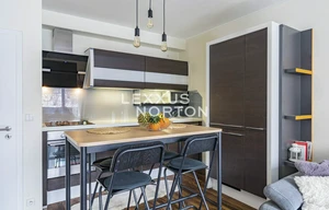 Apartment for rent, 2+kk - 1 bedroom, 50m<sup>2</sup>