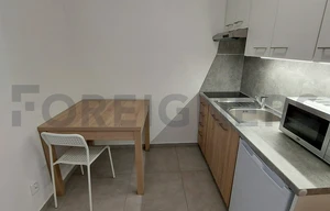 Apartment for rent, 1+KK - Studio, 25m<sup>2</sup>