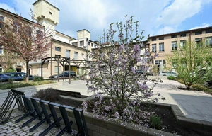 Doctor's office for rent, 55m<sup>2</sup>