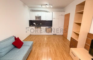 Apartment for rent, 2+kk - 1 bedroom, 46m<sup>2</sup>