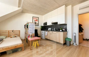 Apartment for rent, 1+KK - Studio, 38m<sup>2</sup>