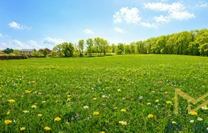 Building plot for sale, 16376m<sup>2</sup>