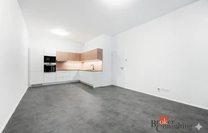 Apartment for rent, 2+kk - 1 bedroom, 66m<sup>2</sup>