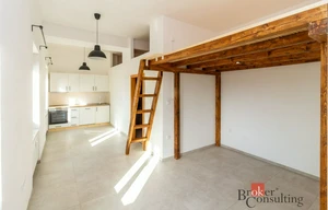 Apartment for rent, 1+KK - Studio, 31m<sup>2</sup>