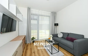 Apartment for rent, 2+kk - 1 bedroom, 56m<sup>2</sup>