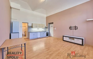 Apartment for rent, 2+kk - 1 bedroom, 45m<sup>2</sup>