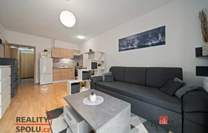 Apartment for rent, 1+KK - Studio, 31m<sup>2</sup>