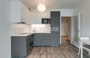 Apartment for rent, 1+KK - Studio, 38m<sup>2</sup>