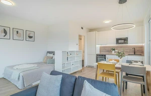 Apartment for rent, 2+kk - 1 bedroom, 55m<sup>2</sup>