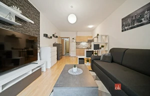 Apartment for rent, 1+KK - Studio, 31m<sup>2</sup>