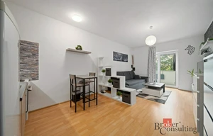 Apartment for rent, 1+KK - Studio, 31m<sup>2</sup>