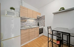 Apartment for rent, 1+KK - Studio, 31m<sup>2</sup>