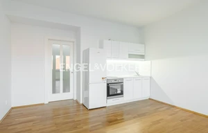 Apartment for rent, 1+KK - Studio, 38m<sup>2</sup>