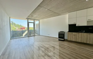 Apartment for rent, 1+KK - Studio, 38m<sup>2</sup>