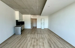 Apartment for rent, 1+KK - Studio, 38m<sup>2</sup>