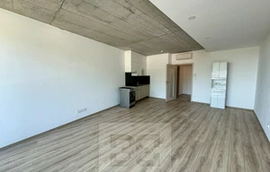 Apartment for rent, 1+KK - Studio, 38m<sup>2</sup>